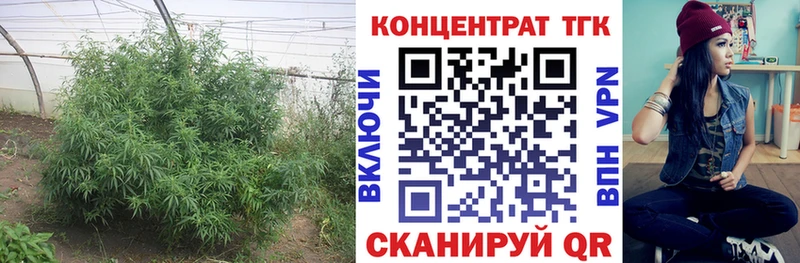 Дистиллят ТГК концентрат Купить Шарыпово