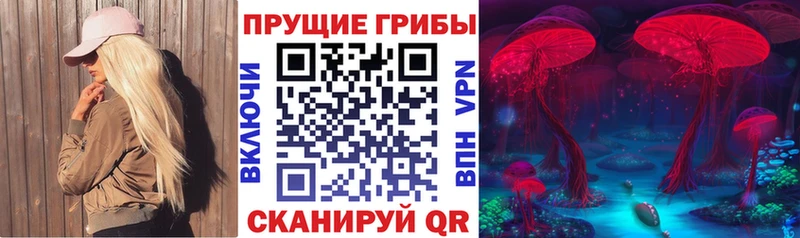 Галлюциногенные грибы Psilocybe  Купить где  Шарыпово 